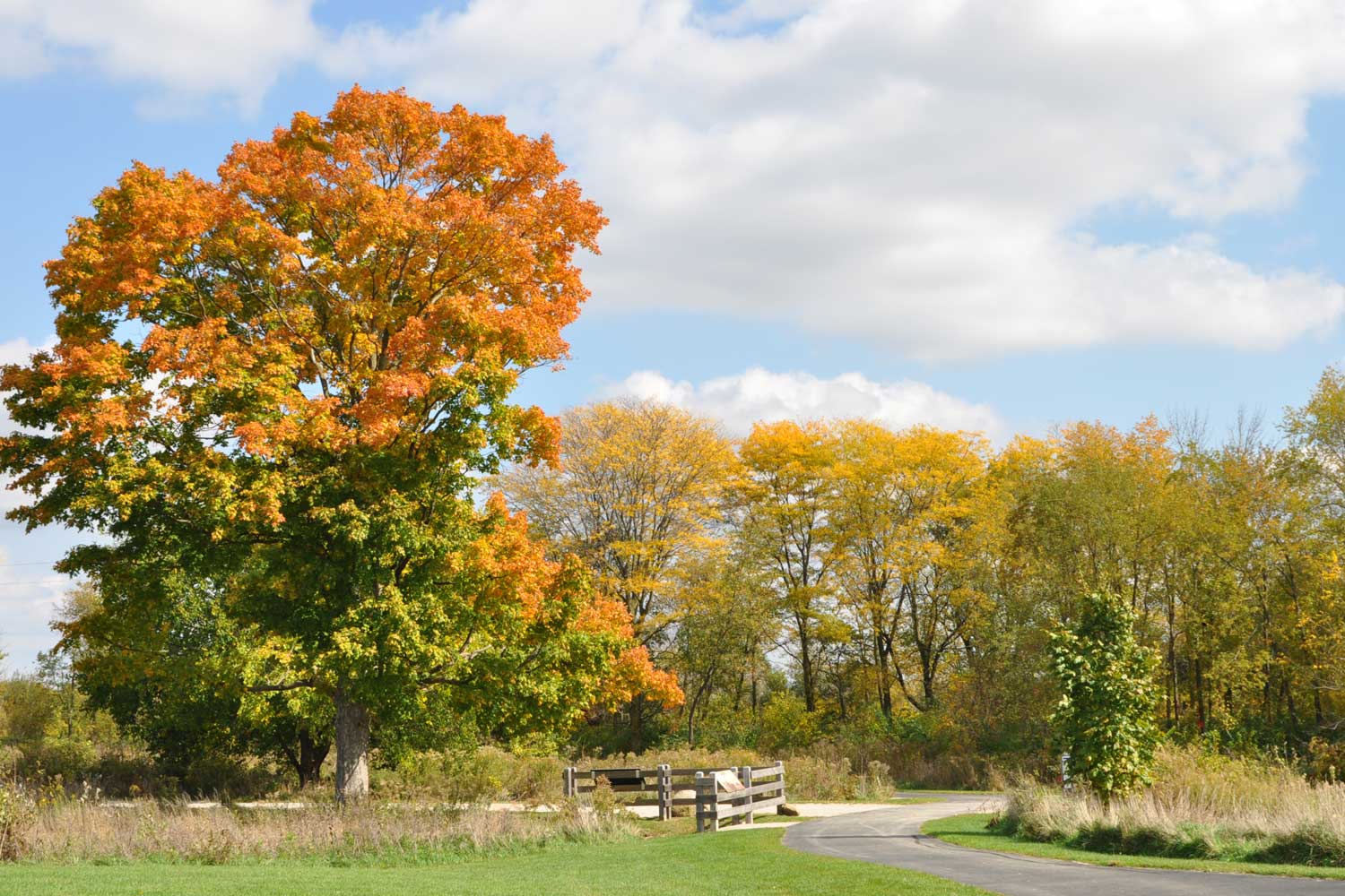 Riverview Farmstead Preserve | Forest Preserve District of Will County