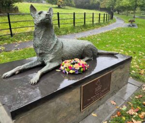 image 2025 05 09T090611.937 image 2025 05 09T090611.937